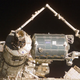 Illustration for article titled Timeline: The Evolution of the International Space Station